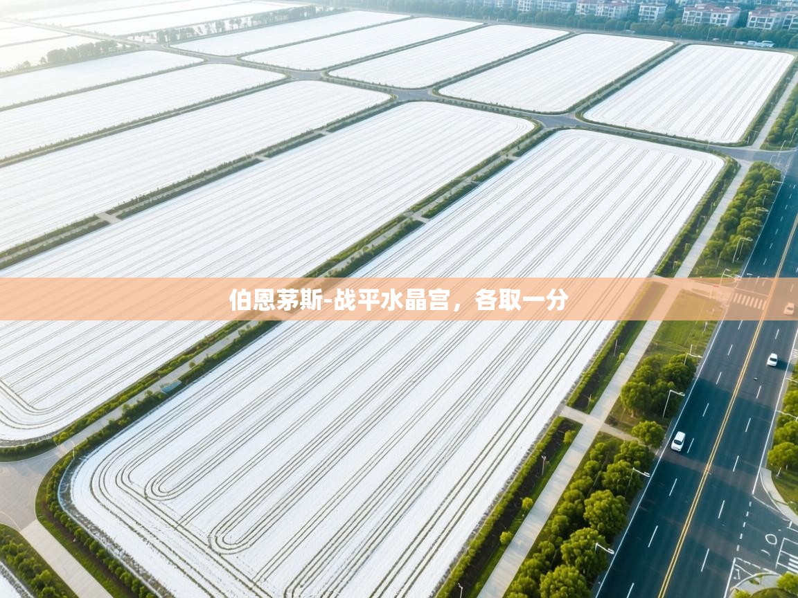 伯恩茅斯-战平水晶宫，各取一分